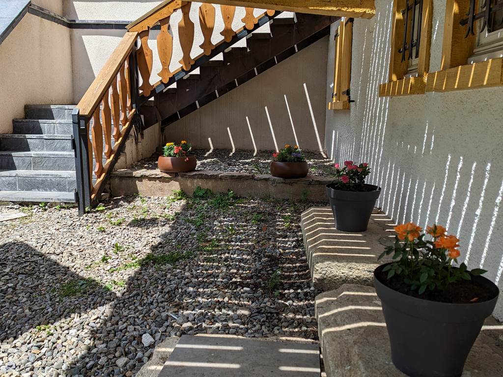 PXL_20230616_105323717