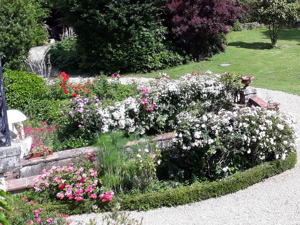 Une partie de la roserai du Clos