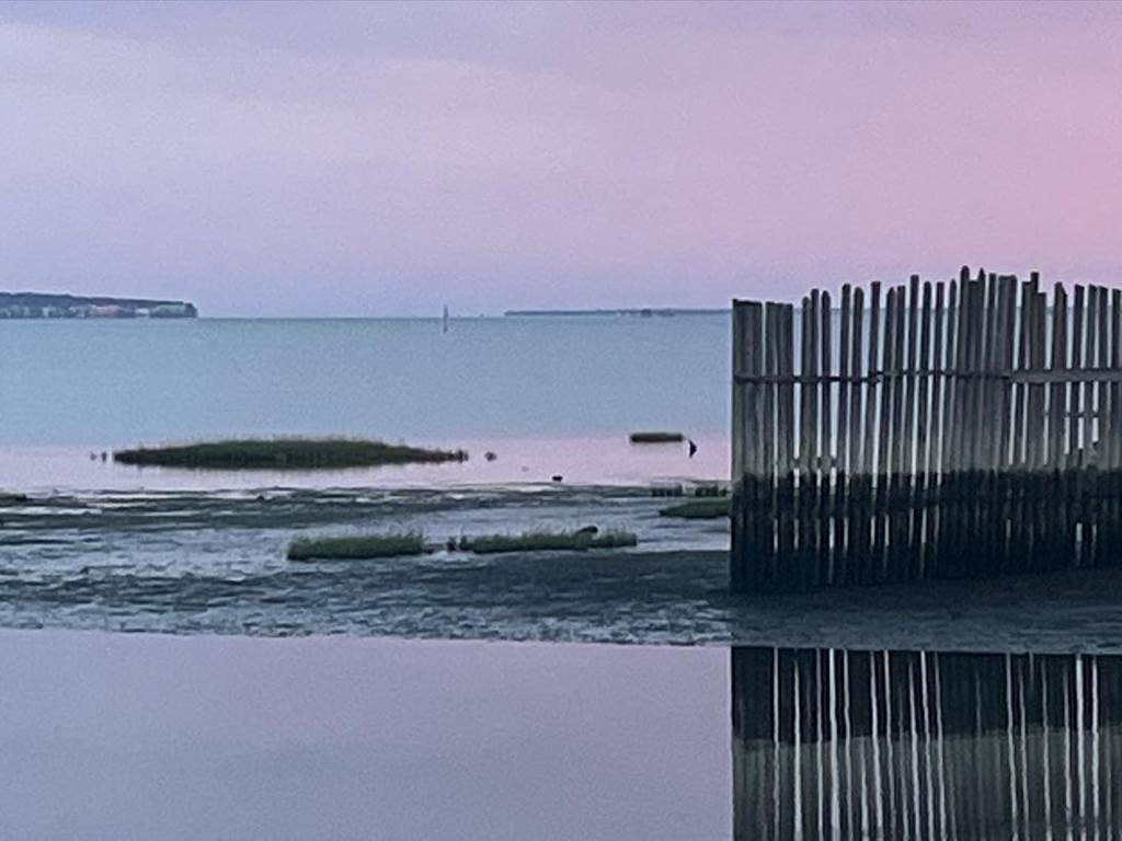 bassin-d-arcachon (1)