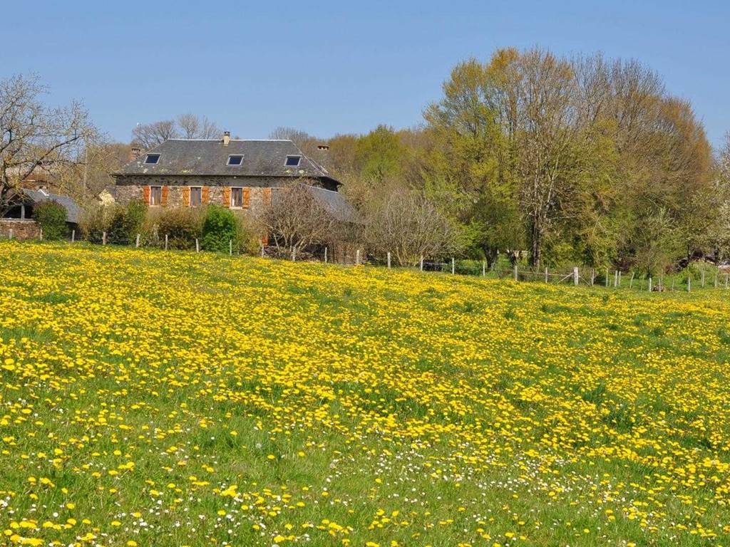 Gîte n°19G1117 "Gîte des papous" – SAINT JAL