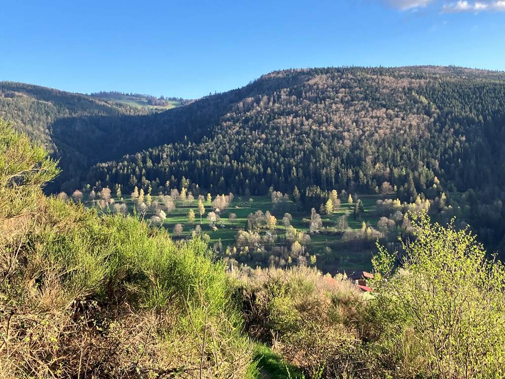 Gite-de-groupe-alsace-vosges-chalet-champ-du-feu