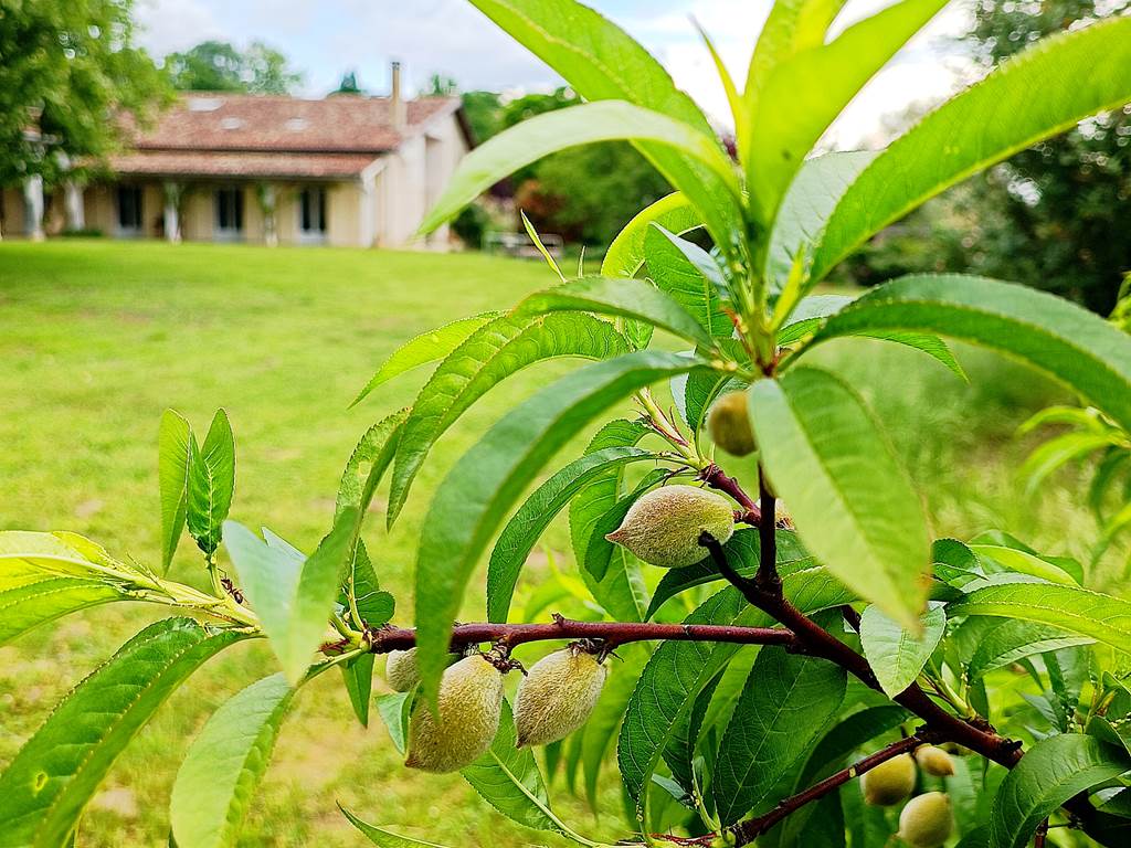 Gîtes, chambre d'hôtes et table d'hôtes gastronomique à Casteljaloux Lot et Garonne, piscine, jacuzzi et spa
