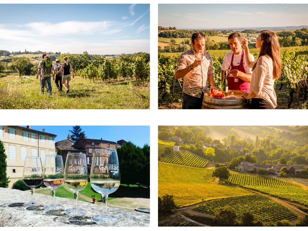 Vignobles Gaillac