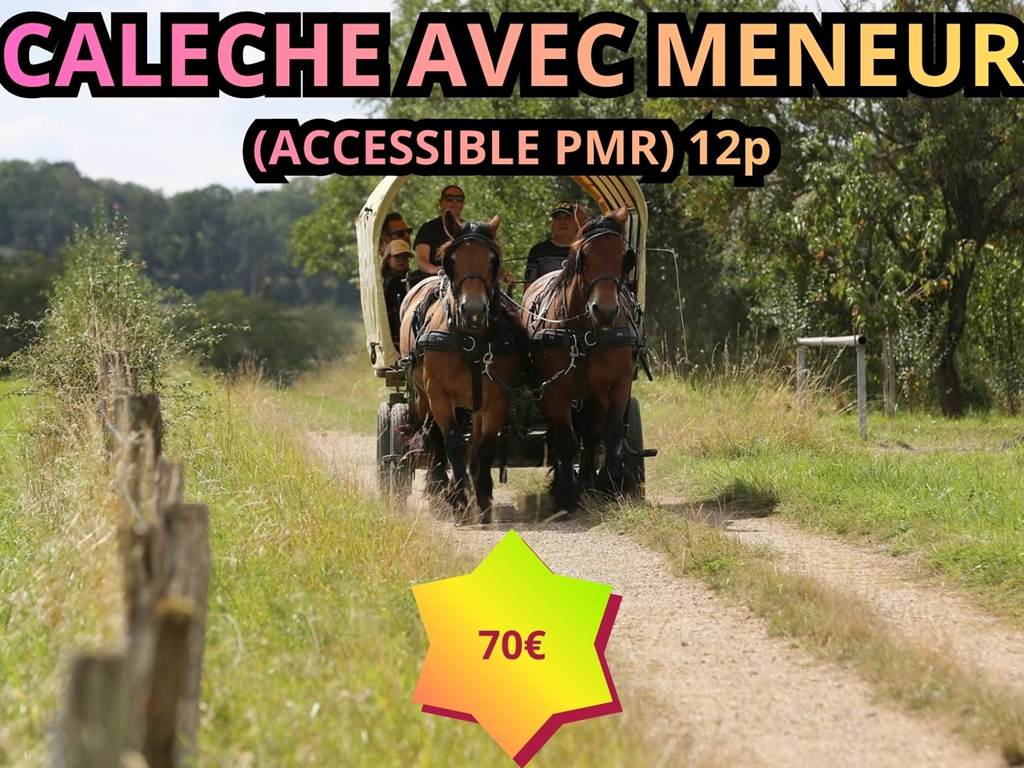 L’écurie du Vermois (25)