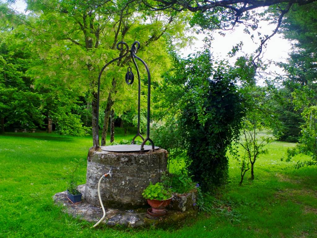 6918AA42-08E0-4B29-93BA-4A8BFA91F294_1_105_c