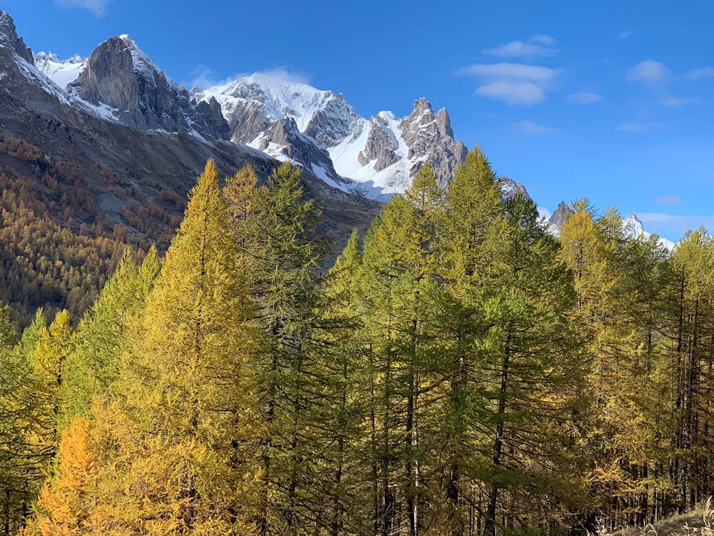 Couleurs de l'automne en Clarée.
