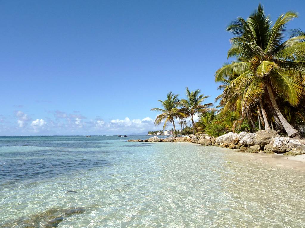 Les jardins des Balisiers Plage de Bois Jolan sainte anne
