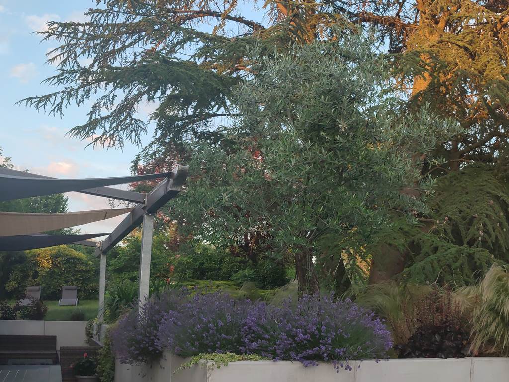 TRANSATS A DISPOSITION POUR PROFITER DU JARDIN PARTAGE