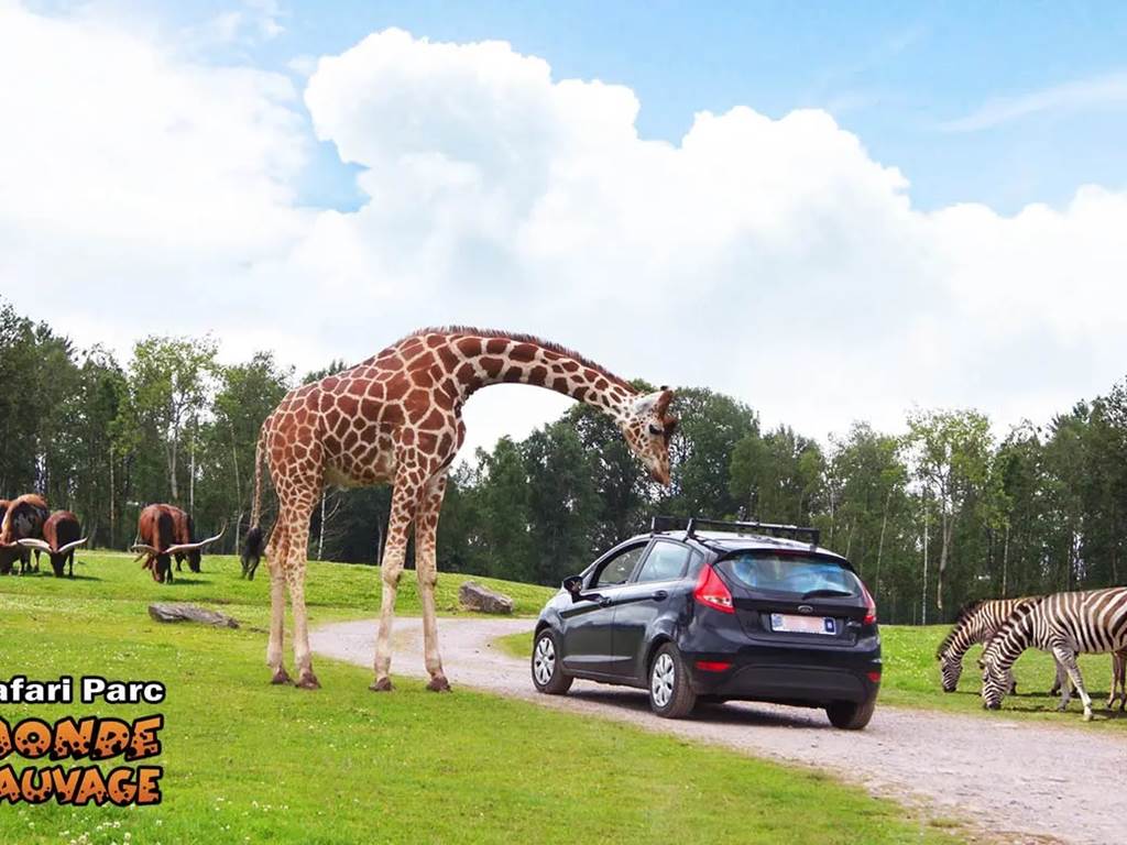 Évasion nature et safari en famille Un tour du monde animal à quelques minutes du gîte.