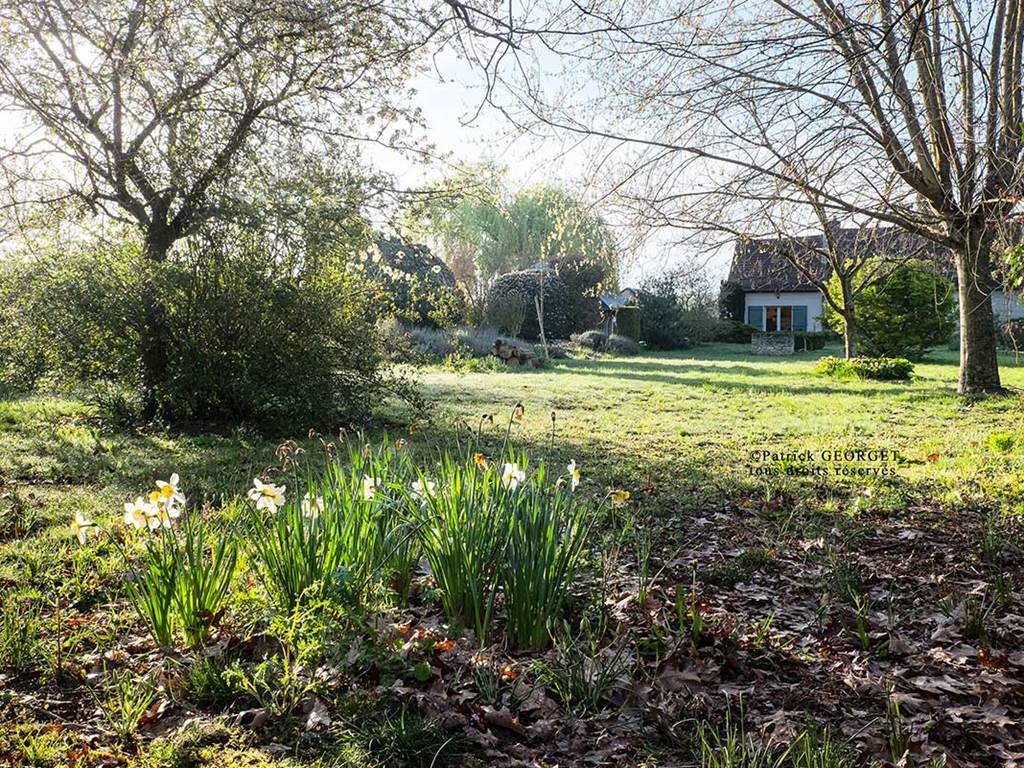 Gîte idéal pour les randonnées à vélo entre Loire et châteaux, hébergement nature et patrimoine