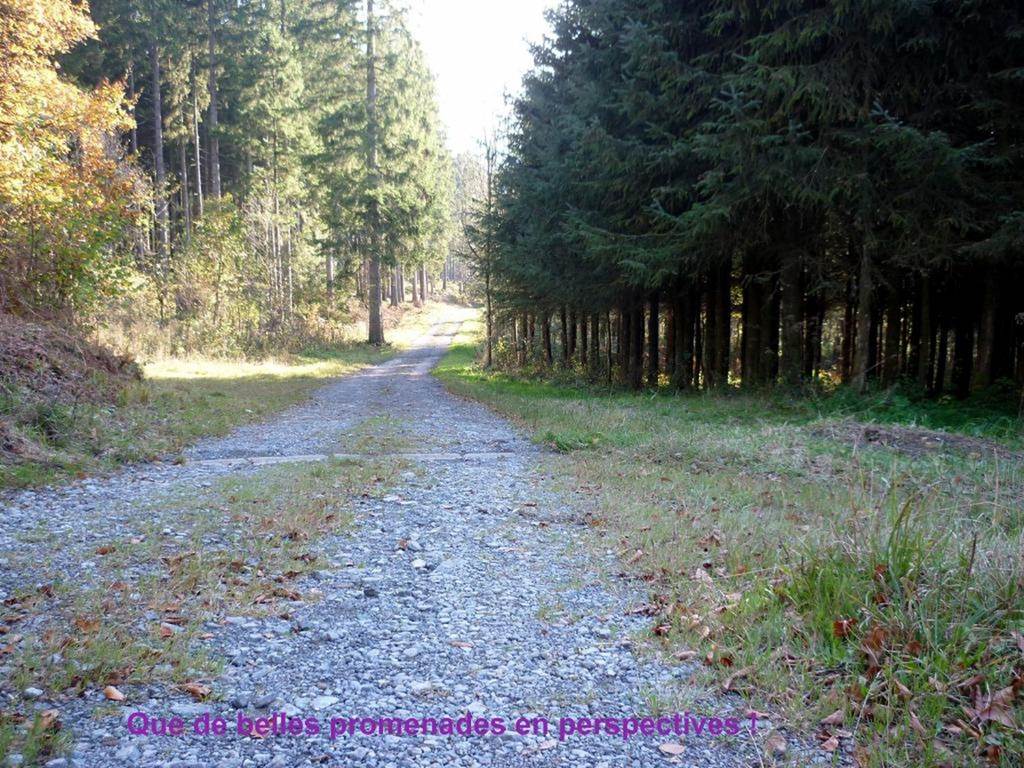 Que de belles promenades en perspective