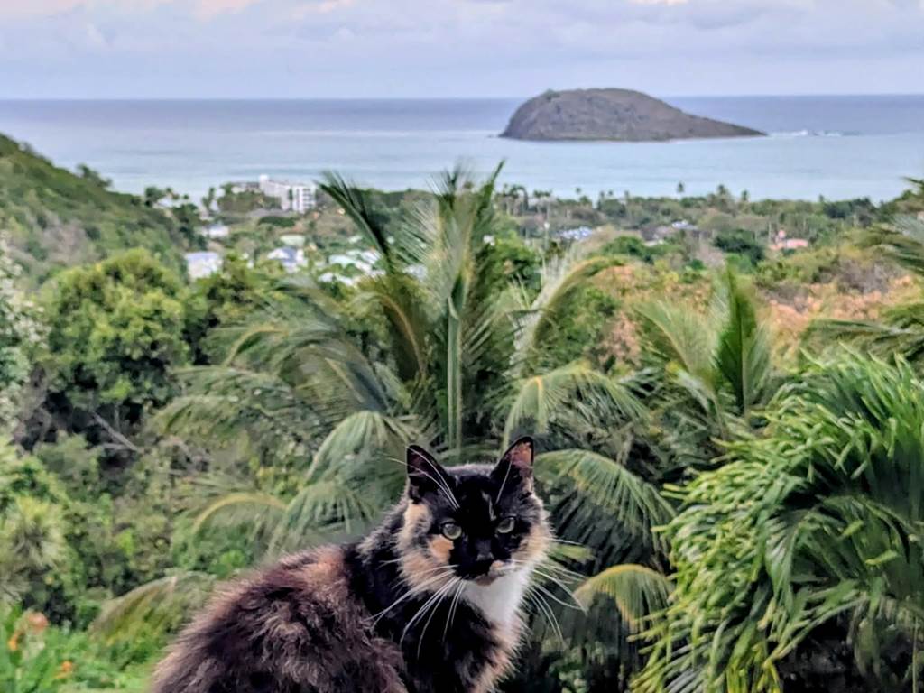 2426b38c-fc54-4d2f-9b05-eed1f897c9a9