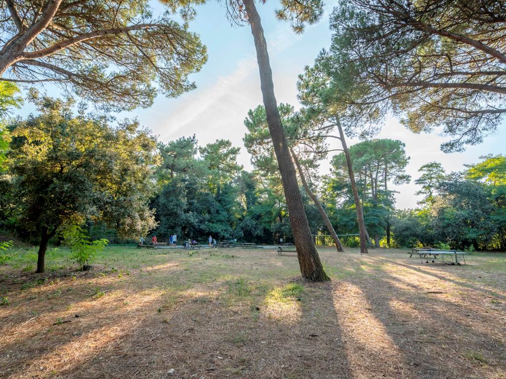 2024.08.28 Les Fouge`res - Lifestyle - WEB-7401326