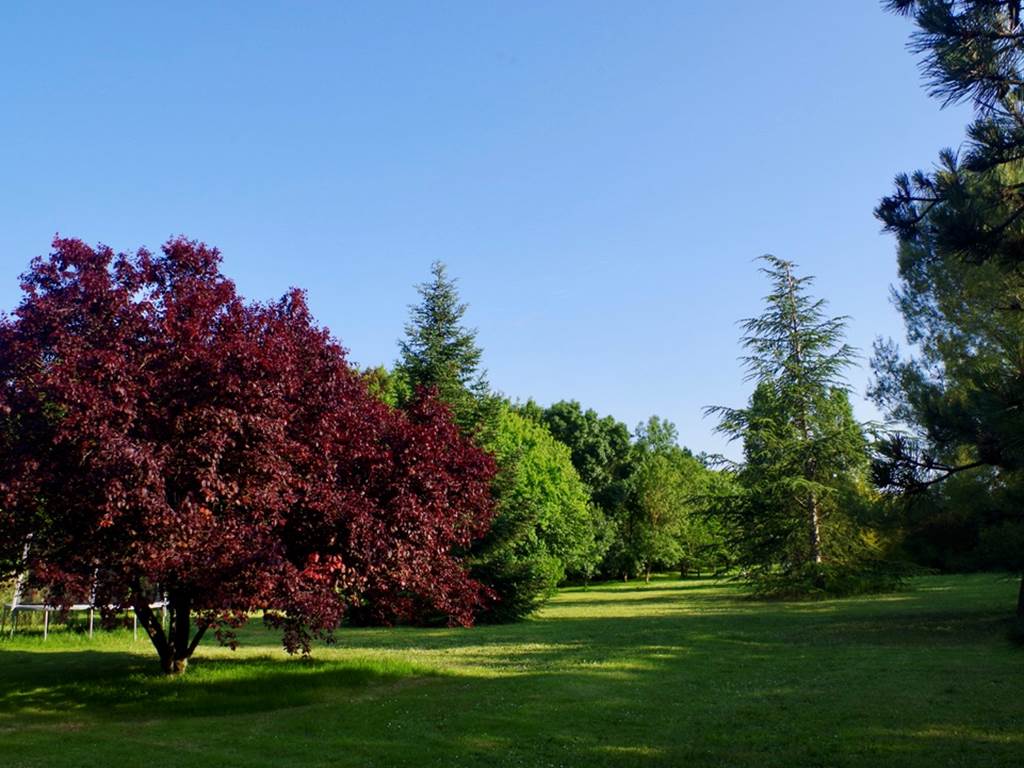 DA3BE276-3429-4C90-814D-D0AAB3F46D02_1_105_c