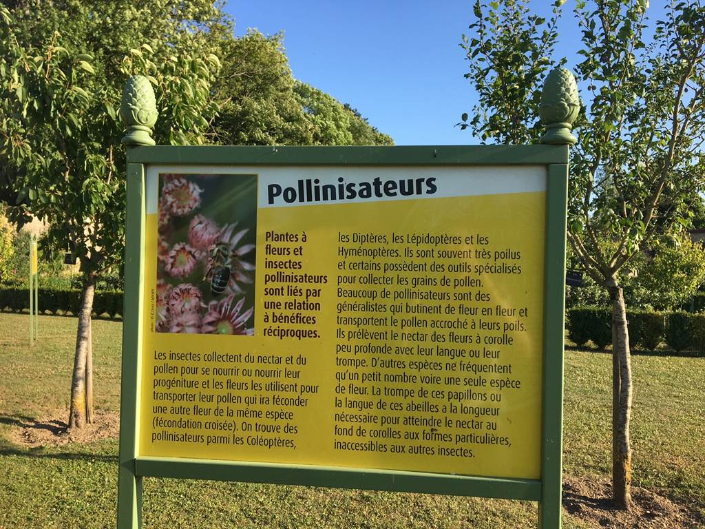 EXPOSITION SUR LA POLLINISATION DANS LES VERGERS