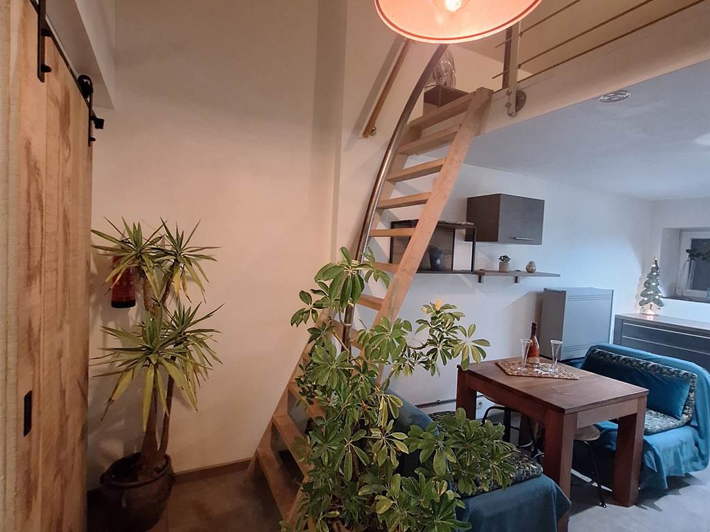 Salon-122024)