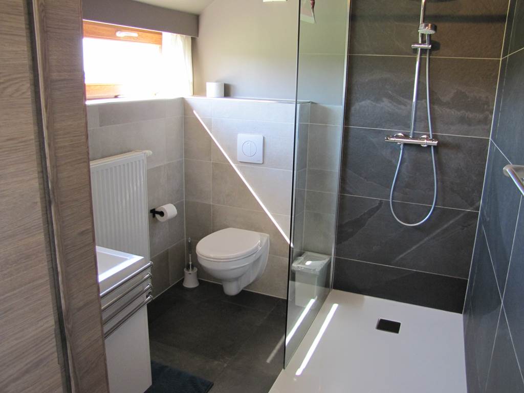 Salle de bain avec douche, lavabo et WC