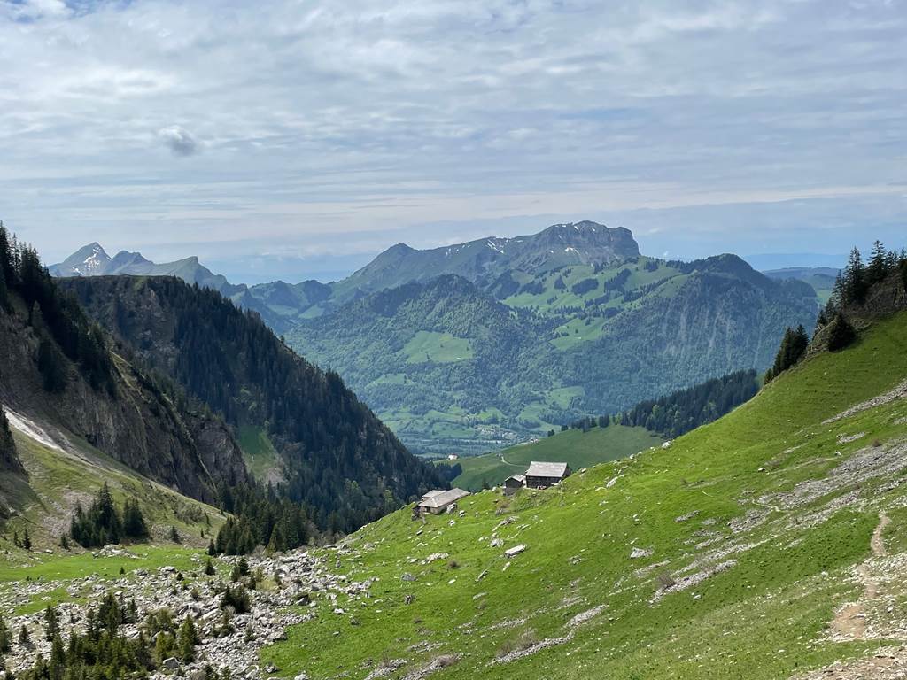 Randonnée proche du studio - vue sur le Moléson depuis Bounavaux