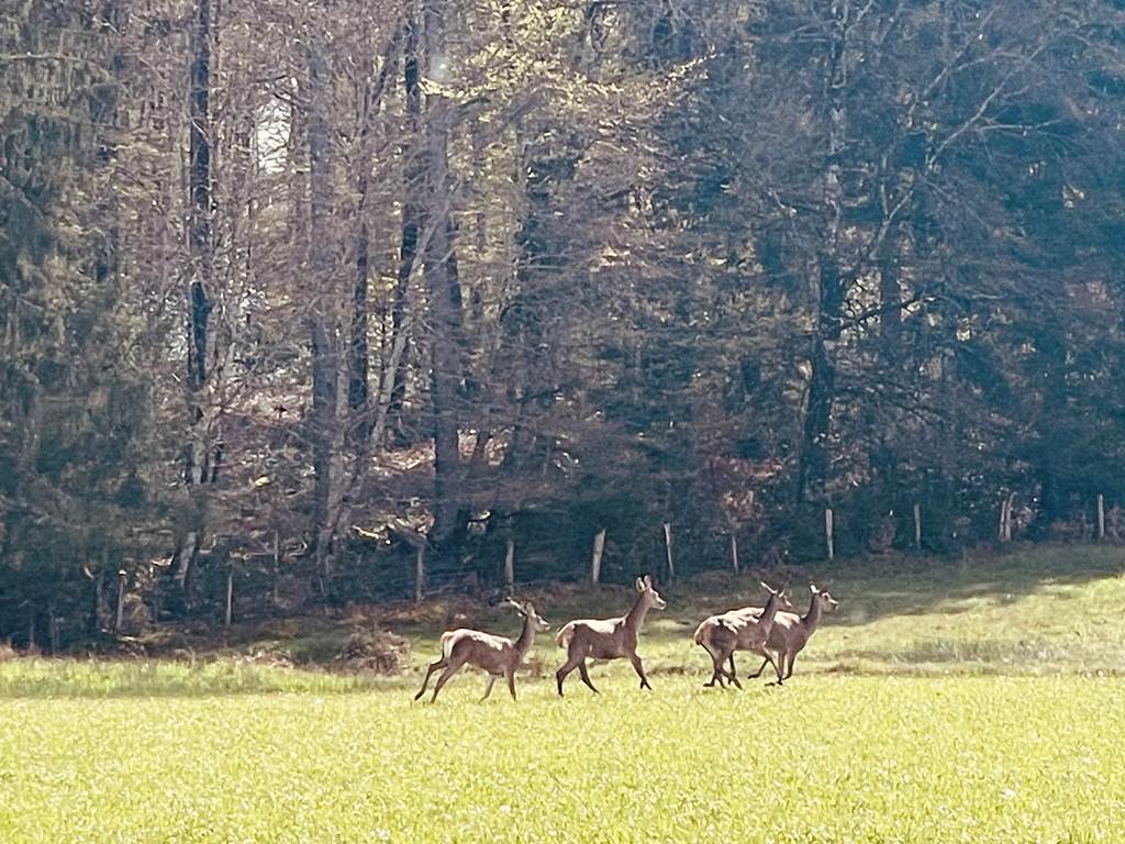 gite_correze_pierres_confort-nature