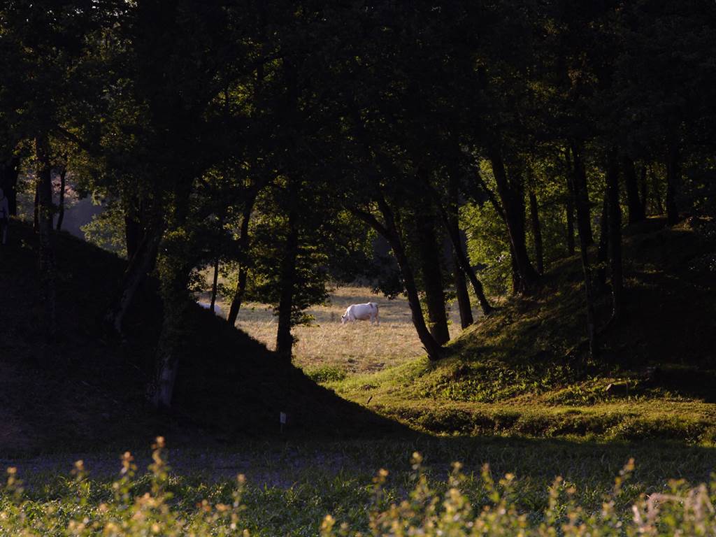 LOUVERAUDE-5114