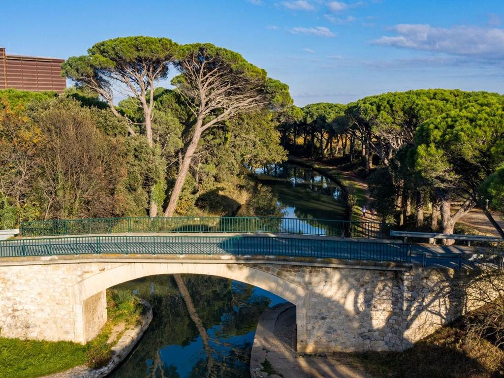 Canal du midi et ses pins parasols prés de l'embouchure du canal de jonction