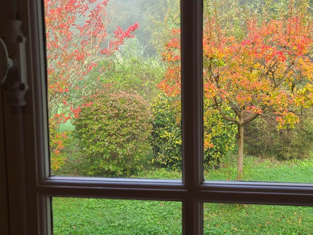 Automne