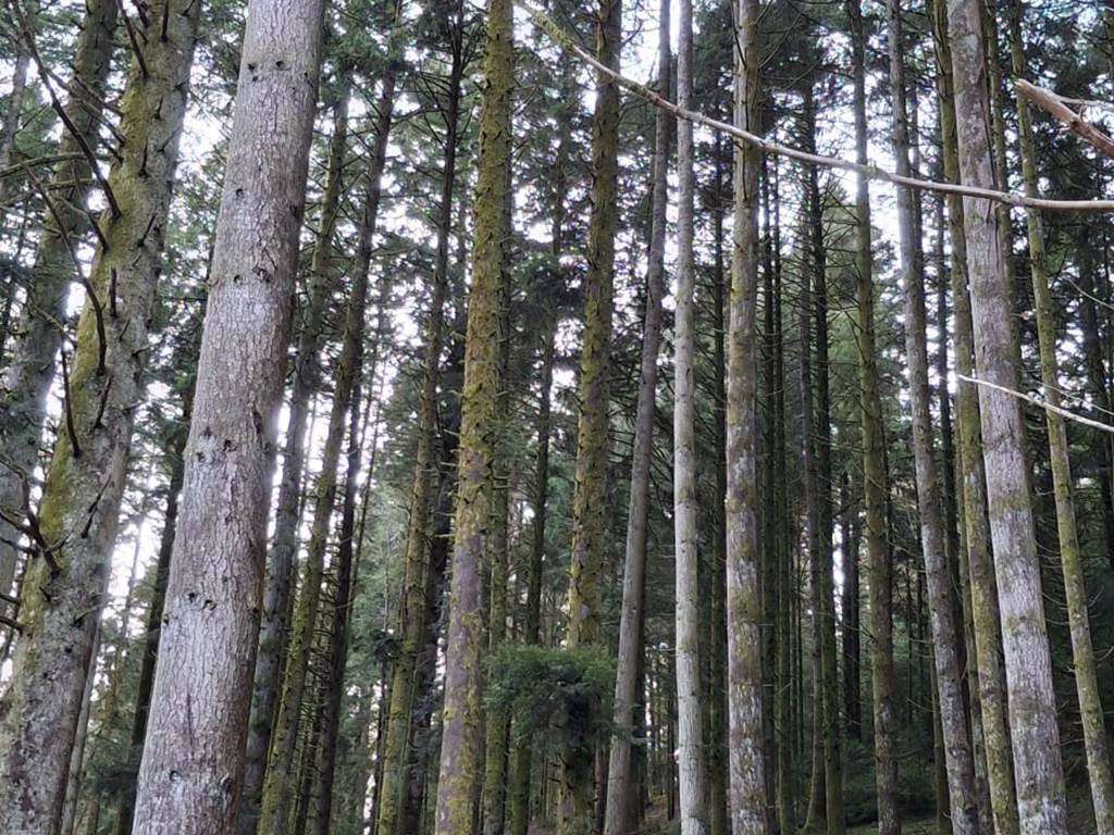 IMG-20260116-WA0010