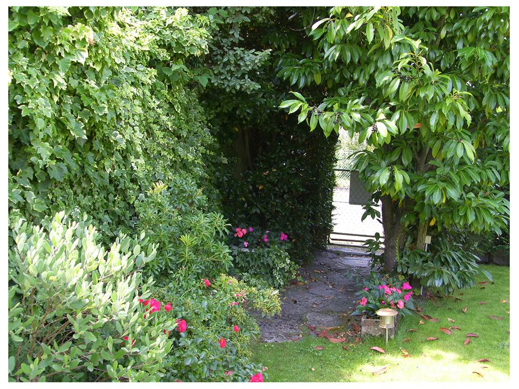 Entrée complémentaire