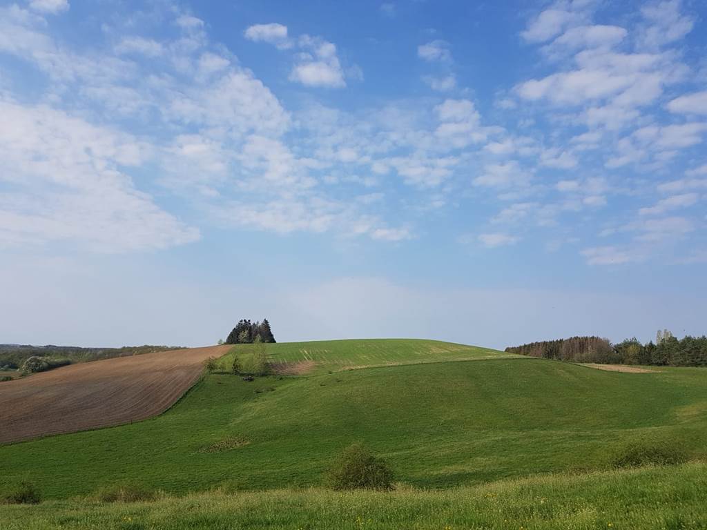 Se promener au printemps
