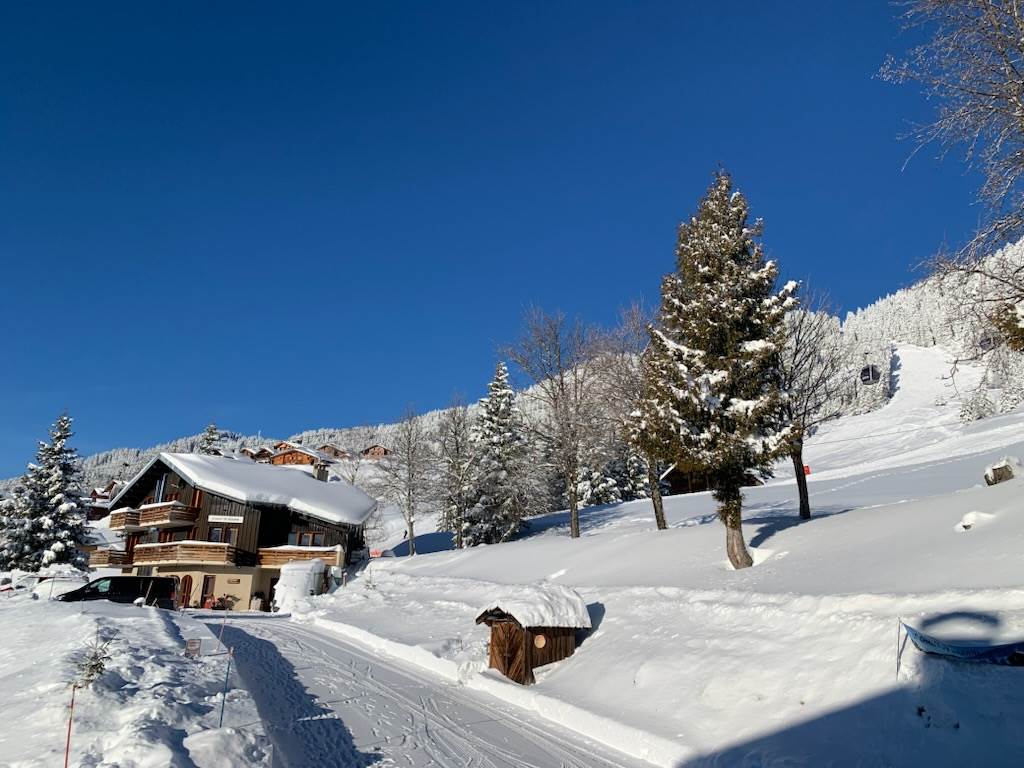 Chalet au pied des pistes