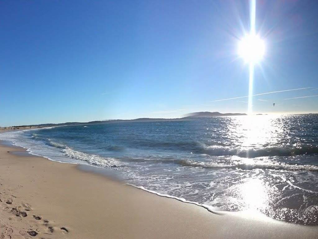 facebook_1739803222900_7297263617023384500