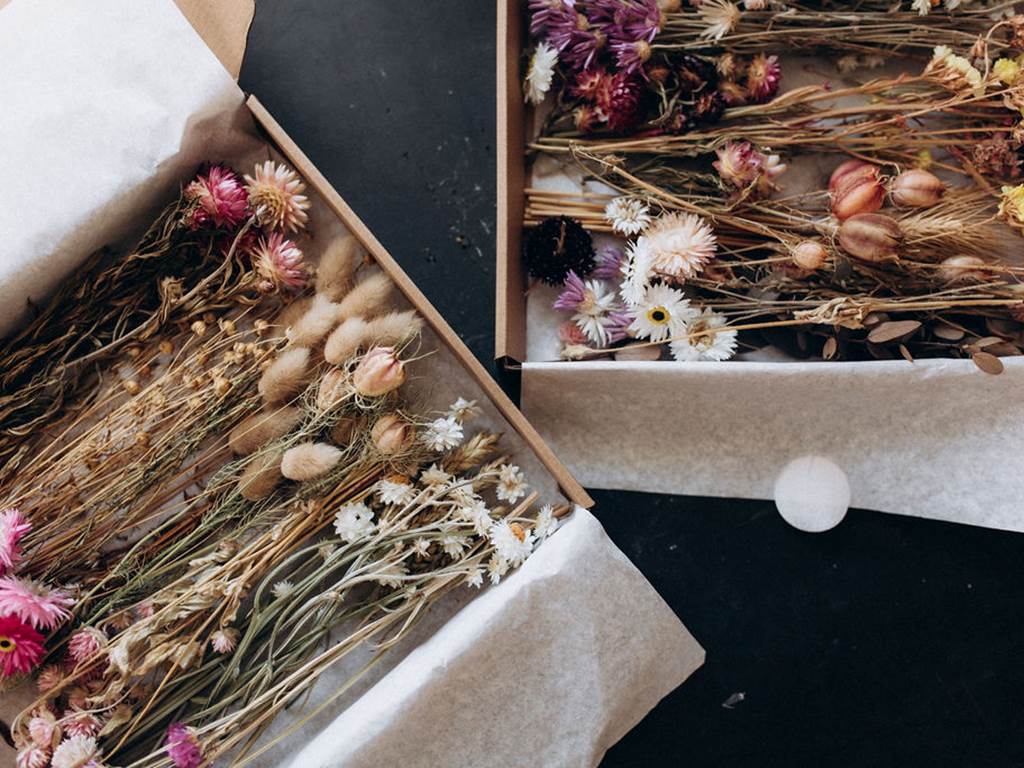 coffrets-fleurs-sechees-francaises-terralya
