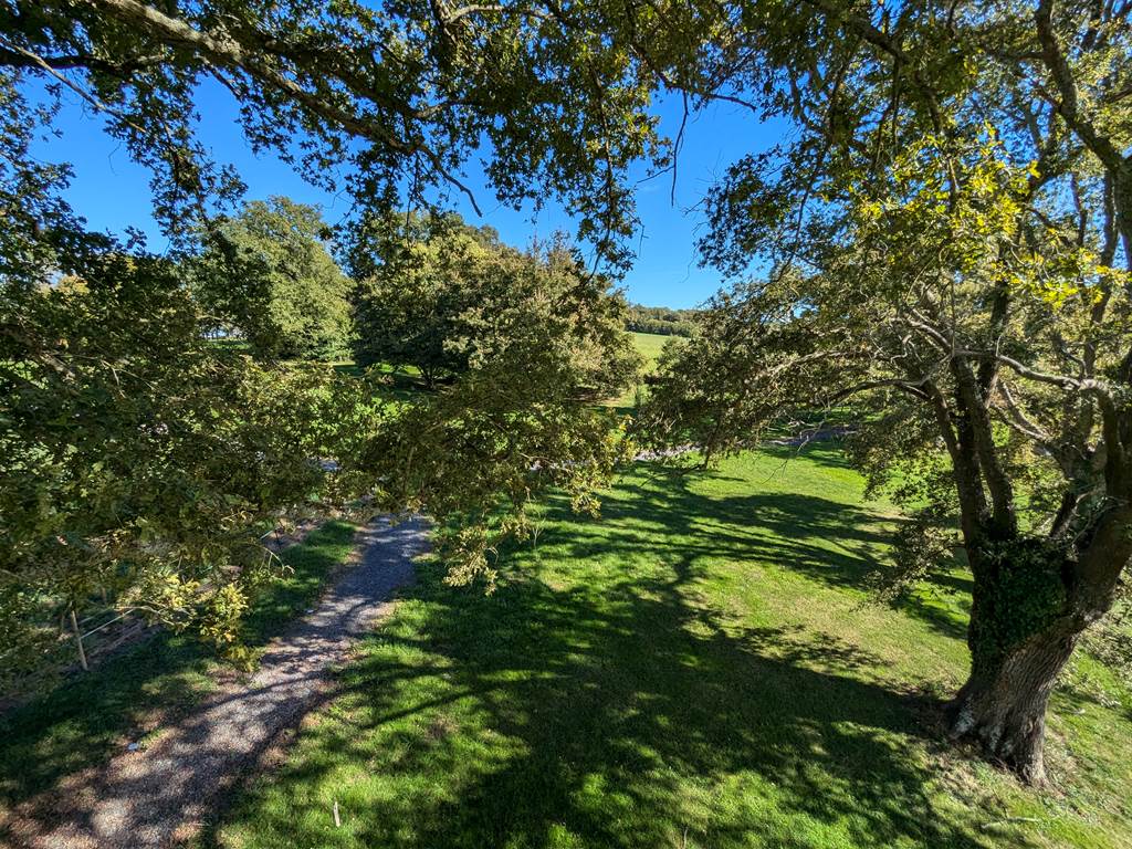 Vue sur le parc