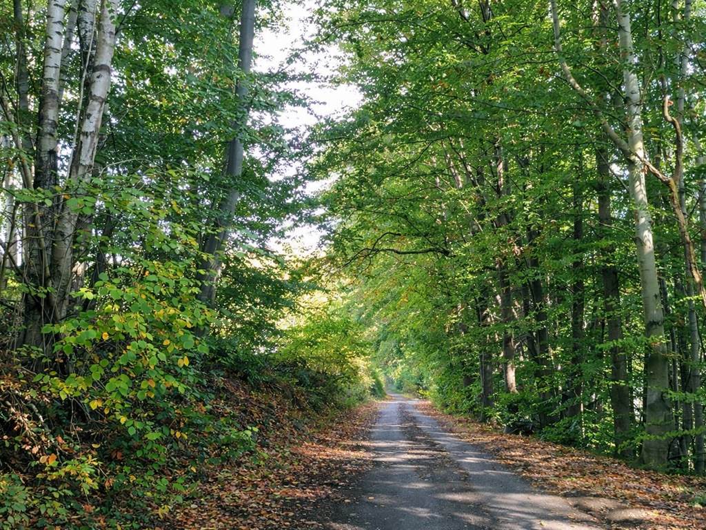 Quel plaisir de découvrir la nature et ce, en toute saison