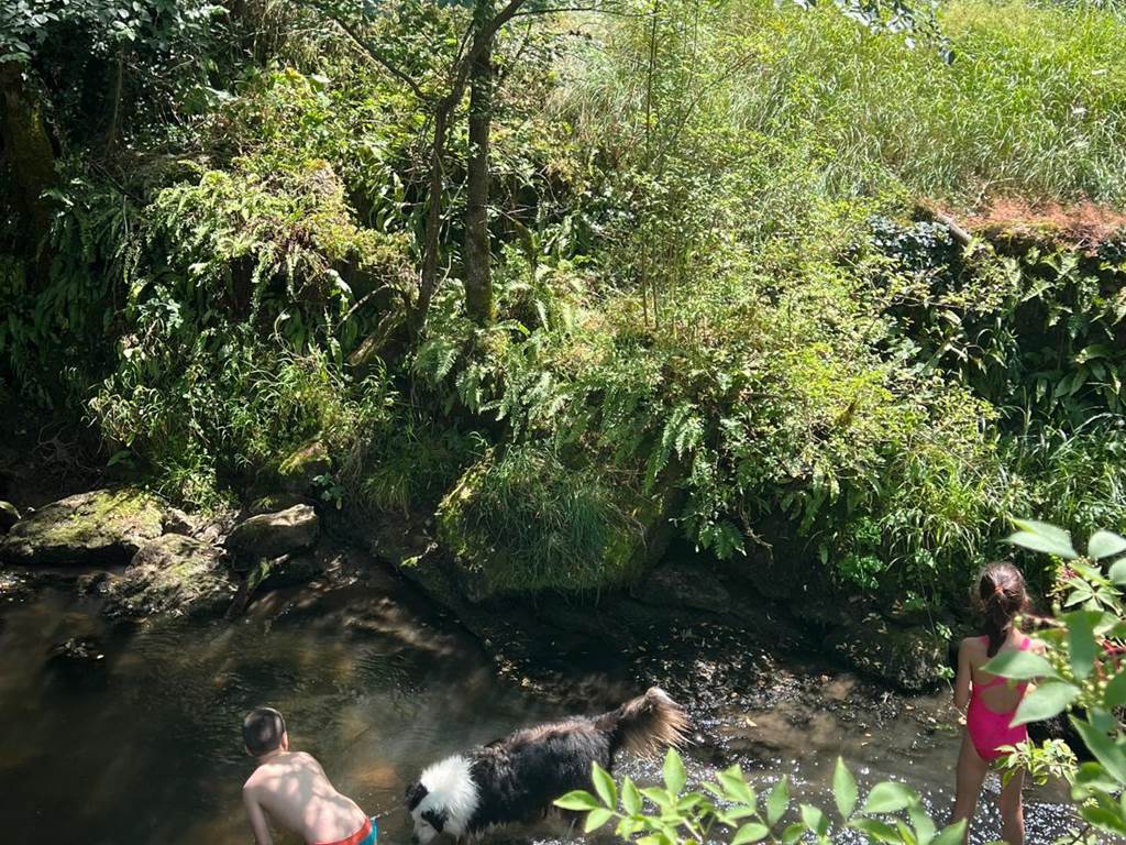 Jeux dans l'eau!
