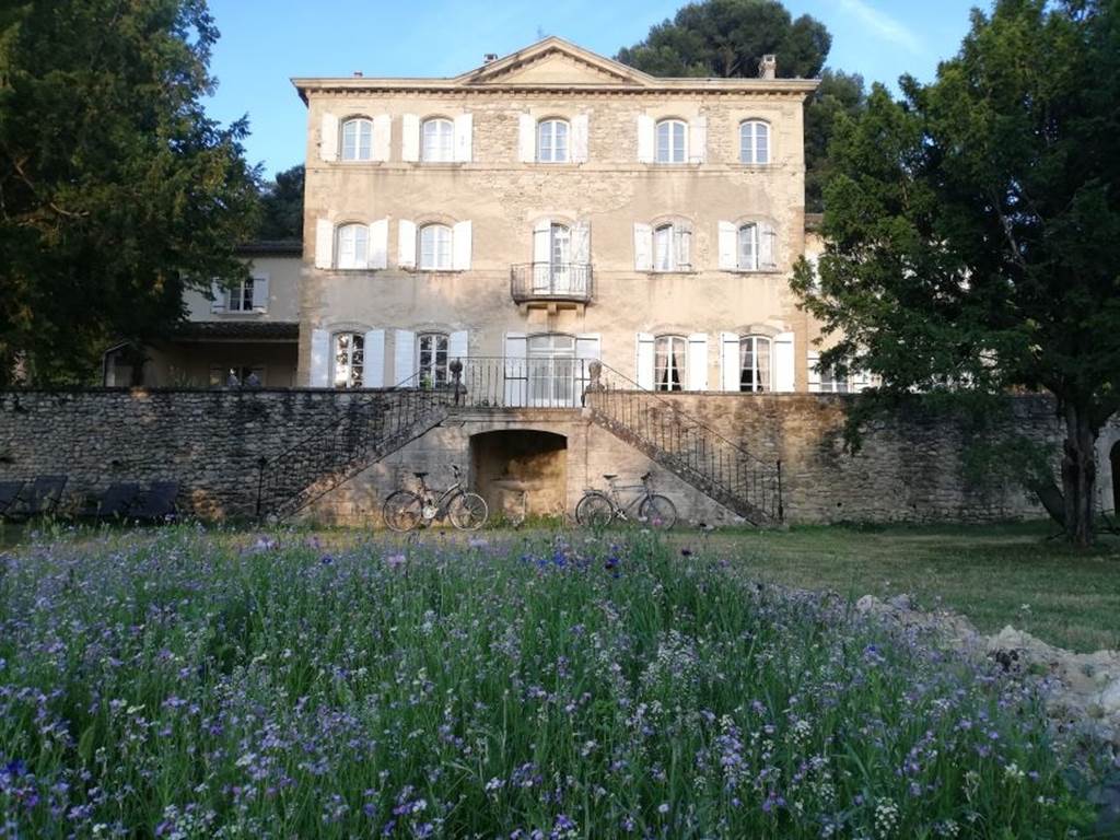 chateau summer4