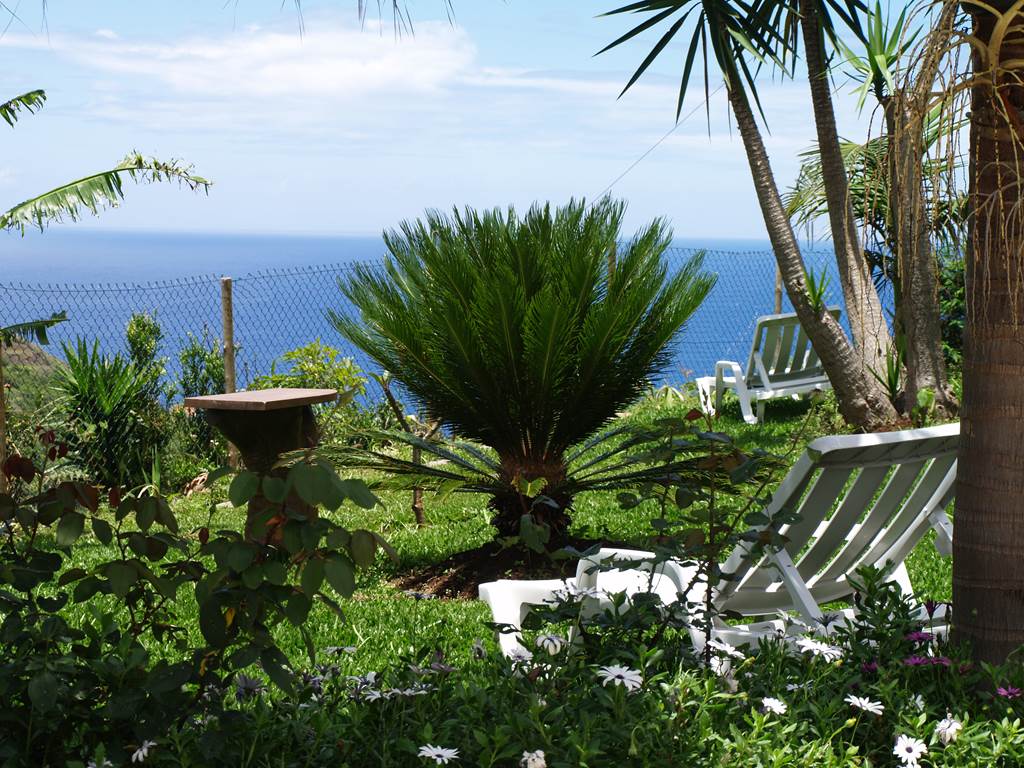 Fond du jardin vue mer - Sea view garden background