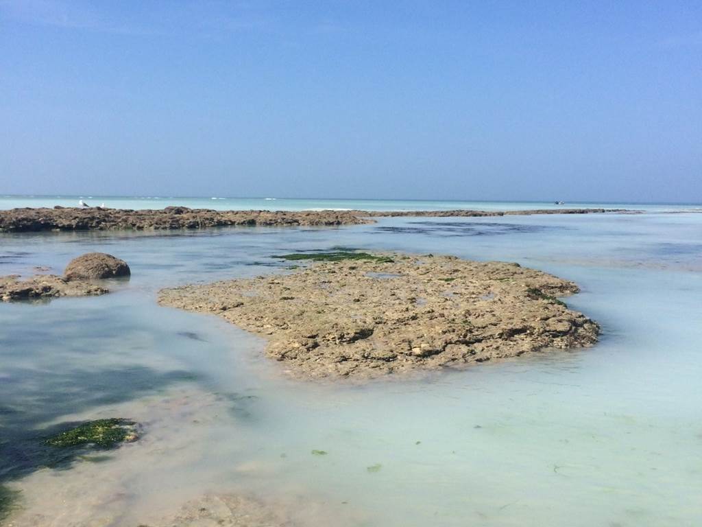 La côte sauvage derrière le camping les baleines