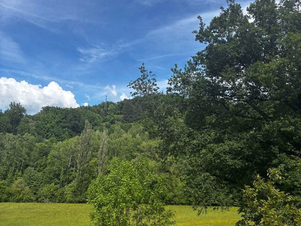vue de la bulle portrait