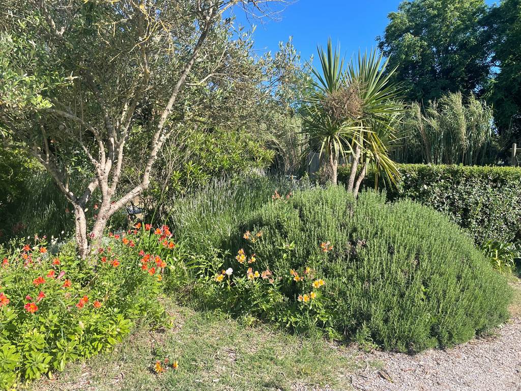 jardin1