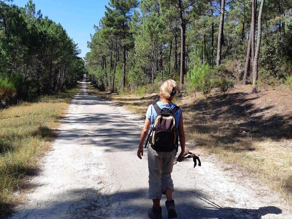 randonnée forêt de la coubre