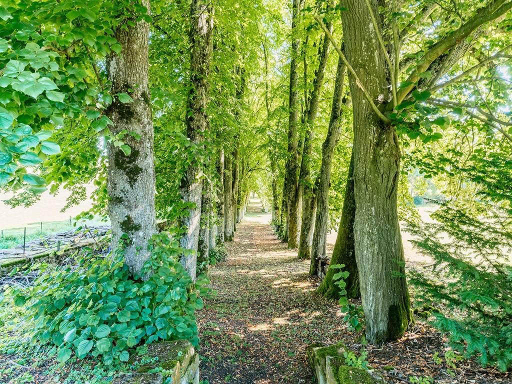 La Martinerie - Mangiennes