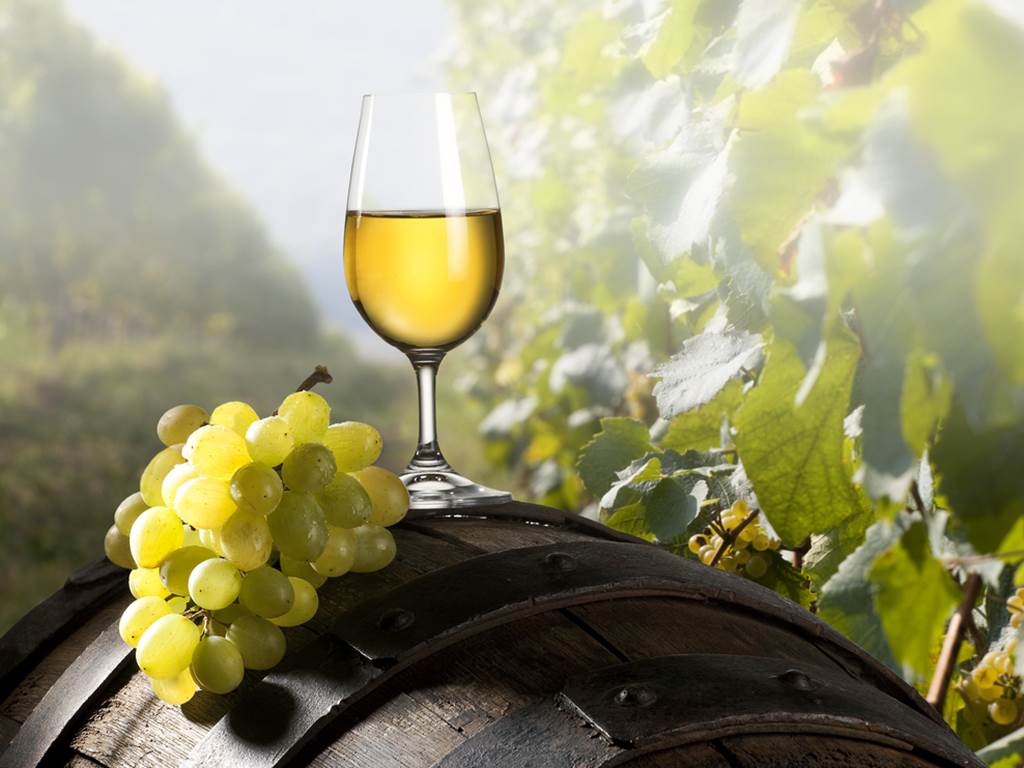Dégustation de vin