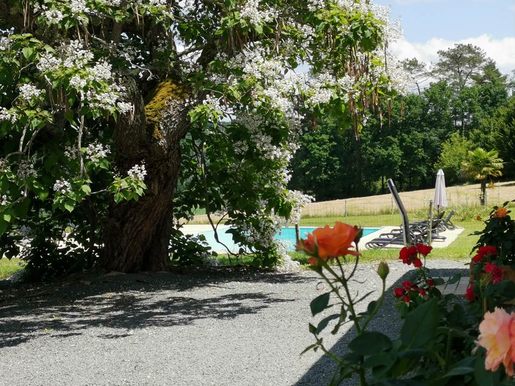DOMAINE DU CHAMP DE L'HOSTE - maison d'hôtes à Larzac 24170 - domaine du champ de l'Hoste - piscine - Dordogne - location gîte - location maison de vacances - été fleuri -