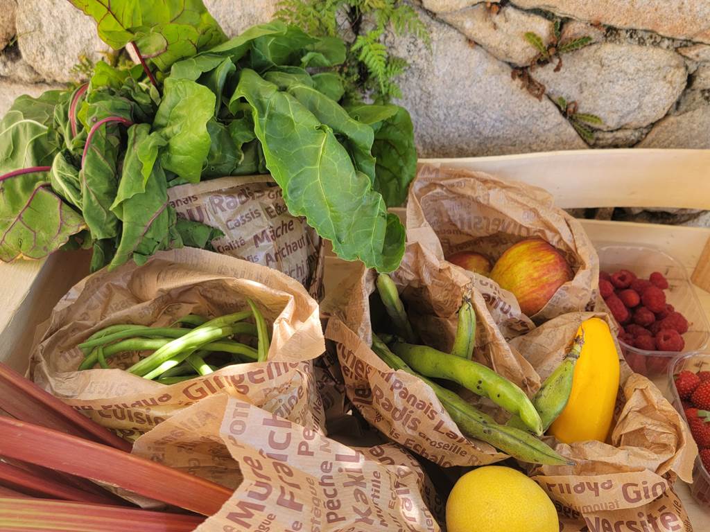 Produits frais bio utilisés pour la cuisine maison du Domaine Cardu en Corse.
