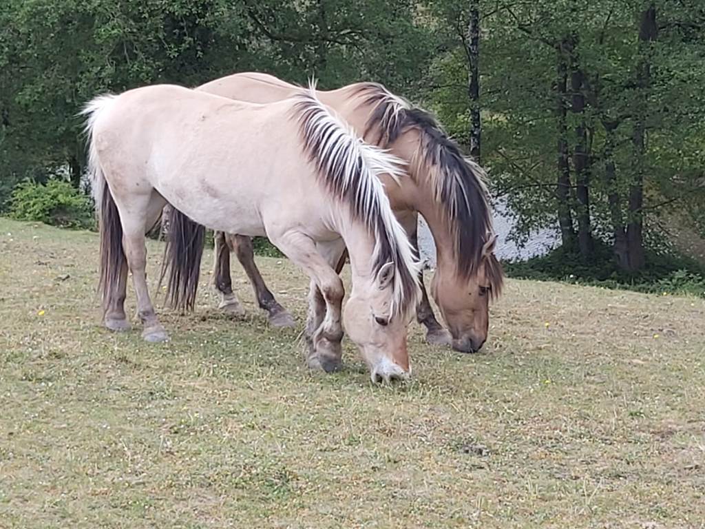 Au coeur de la nature