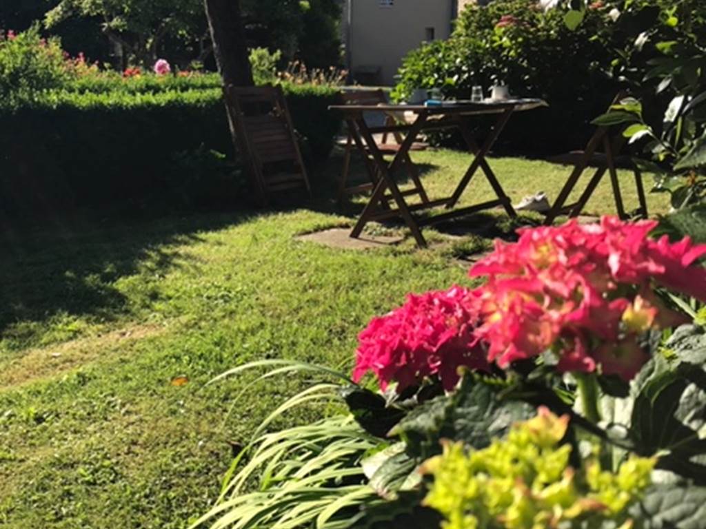 salon hortensia
