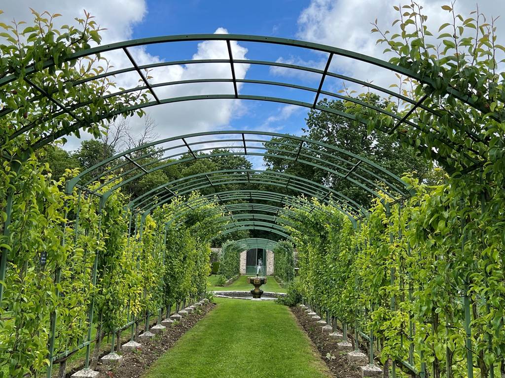 ALLEE CENTRALE DES VERGERS-POTAGERS
