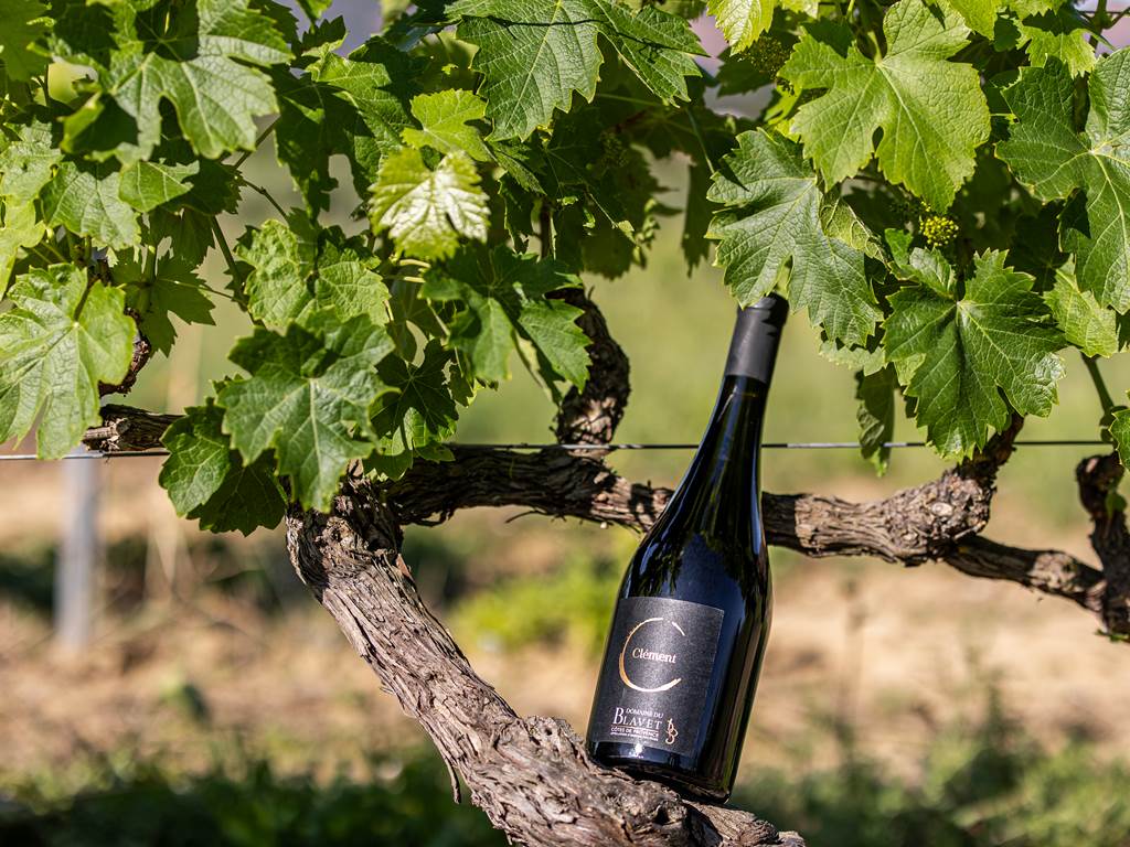RoutedesVins-DomaineduBlavet-©LeaGil.5