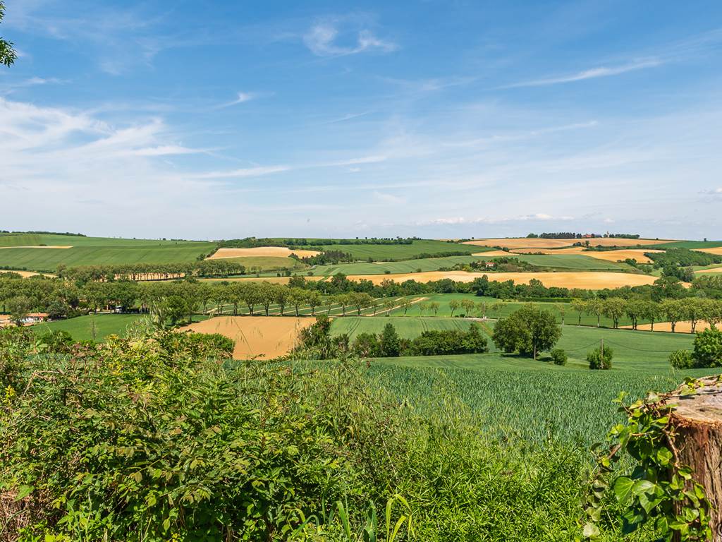 Vue sur les collines depuis la piscine